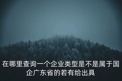 在哪里查詢一個(gè)企業(yè)類型是不是屬于國(guó)企廣東省的若有給出具