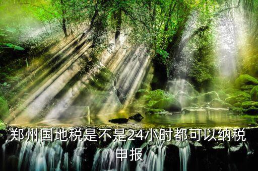 鄭州如何進(jìn)行地稅網(wǎng)上申報，鄭州國地稅是不是24小時都可以納稅申報