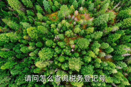 如何查地稅登記號，怎樣在網(wǎng)上查詢國稅和地稅登記號