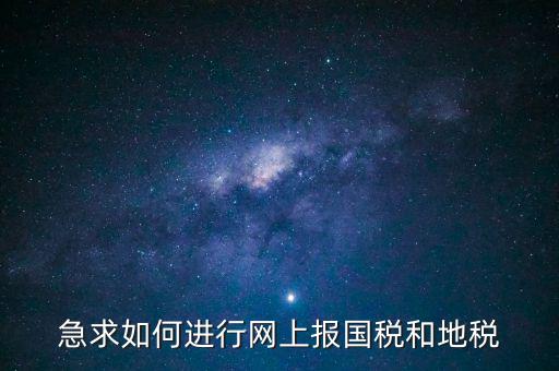 急求如何進(jìn)行網(wǎng)上報國稅和地稅