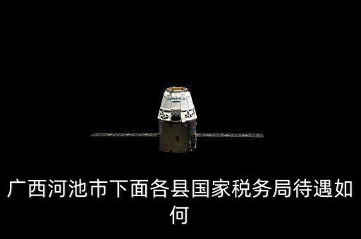 廣西河池市下面各縣國家稅務局待遇如何