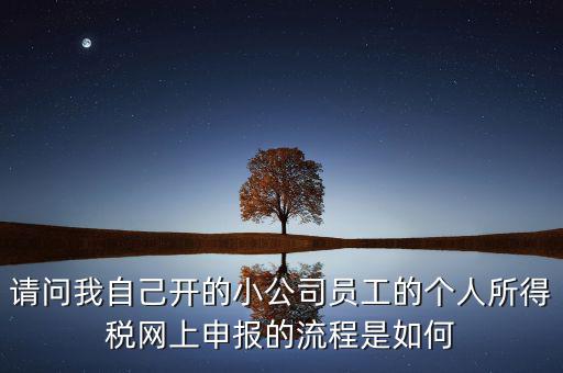 請問我自己開的小公司員工的個(gè)人所得稅網(wǎng)上申報(bào)的流程是如何