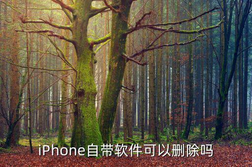 iPhone自帶軟件可以刪除嗎