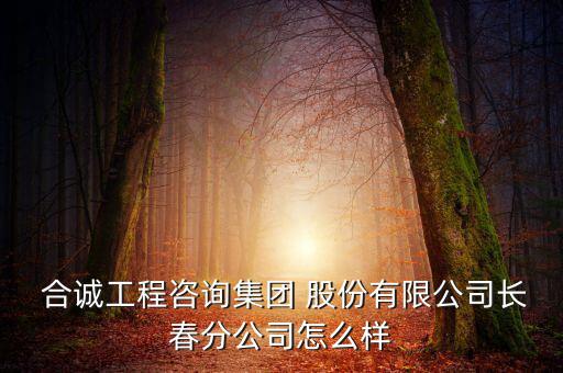 合誠股份怎么樣,廣州合誠化工有限公司債務由合誠工程咨詢承擔