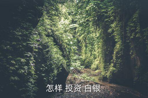 怎樣 投資 白銀