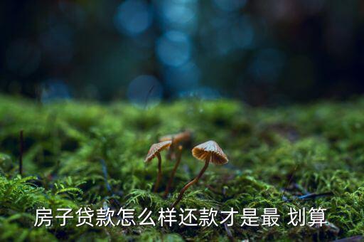 房款怎么還比較劃算,等額本息還款法適合收入穩(wěn)定年輕人