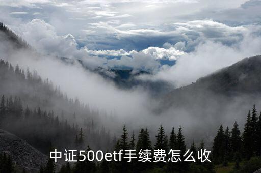 中證500etf手續(xù)費怎么收