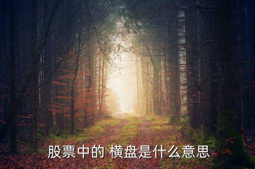  股票中的 橫盤(pán)是什么意思