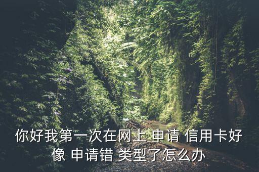 你好我第一次在網(wǎng)上 申請 信用卡好像 申請錯 類型了怎么辦