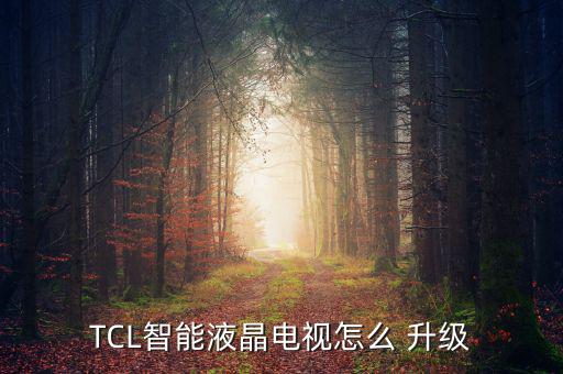 TCL智能液晶電視怎么 升級