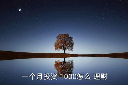  一個月投資 1000怎么 理財