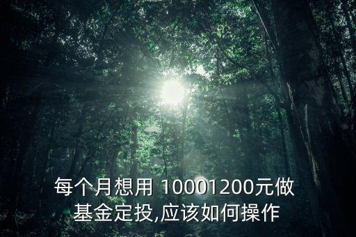 每個月想用 10001200元做 基金定投,應該如何操作