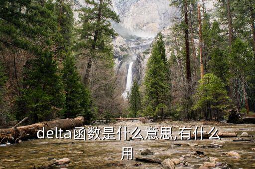  delta函數(shù)是什么意思,有什么用