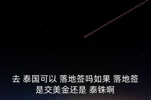 去 泰國可以 落地簽嗎如果 落地簽是交美金還是 泰銖啊