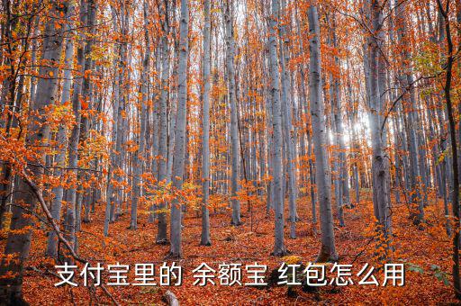 余額寶的紅包怎么用,支付寶余額寶消費紅包怎么用?