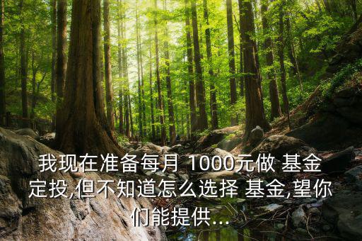 我現(xiàn)在準備每月 1000元做 基金定投,但不知道怎么選擇 基金,望你們能提供...