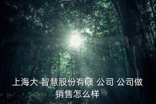 上海大 智慧股份有限 公司 公司做銷售怎么樣