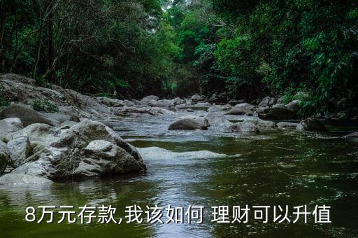 8萬元存款,我該如何 理財(cái)可以升值