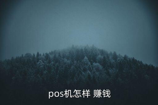  pos機怎樣 賺錢