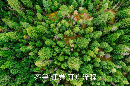  齊魯 證券 開(kāi)戶(hù)流程