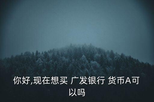 廣發(fā)貨幣a怎么樣,廣發(fā)貨幣a2012年收益率超過4%