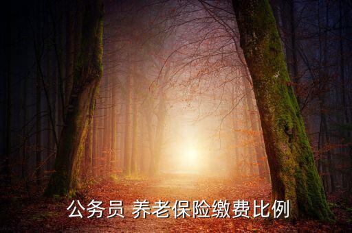  公務(wù)員 養(yǎng)老保險繳費比例