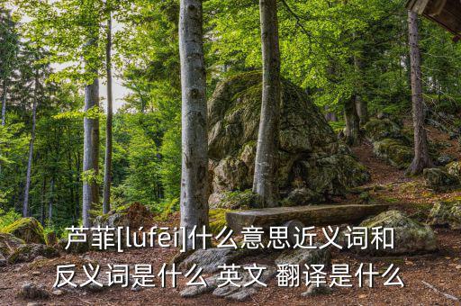 蘆菲[lúfēi]什么意思近義詞和反義詞是什么 英文 翻譯是什么