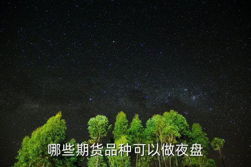 哪些期貨品種可以做夜盤