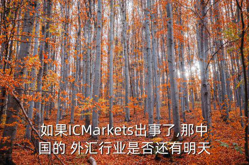 如果ICMarkets出事了,那中國(guó)的 外匯行業(yè)是否還有明天