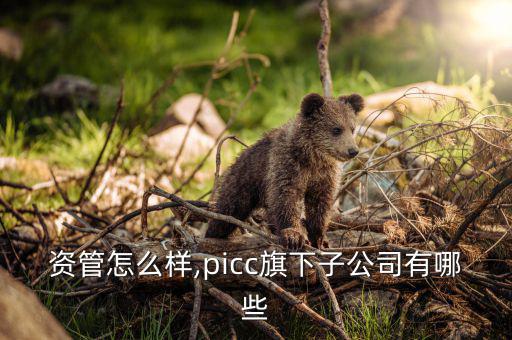 人保資管怎么樣,picc旗下子公司有哪些?