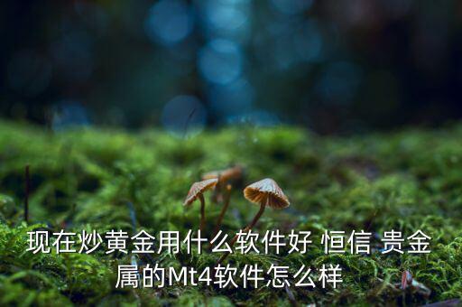 現(xiàn)在炒黃金用什么軟件好 恒信 貴金屬的Mt4軟件怎么樣