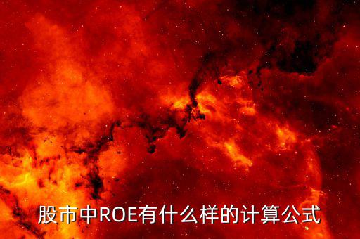 股市中ROE有什么樣的計算公式