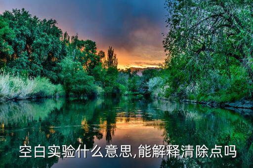  空白實(shí)驗(yàn)什么意思,能解釋清除點(diǎn)嗎