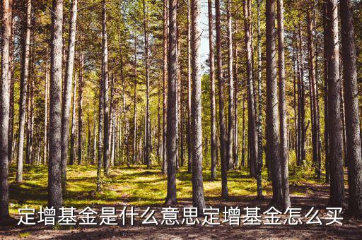 怎么查定增名單,如何買定向增發(fā)基金?可從下列渠道購買