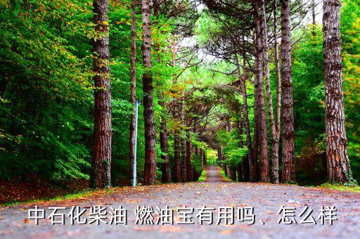  中石化柴油 燃油寶有用嗎、怎么樣