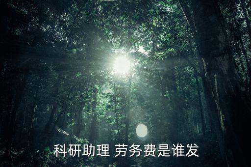  科研助理 勞務(wù)費是誰發(fā)