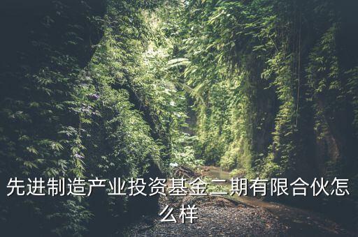 先進制造產(chǎn)業(yè)投資基金二期有限合伙怎么樣