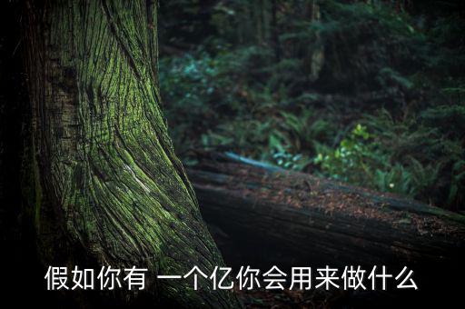 假如你有 一個(gè)億你會(huì)用來(lái)做什么