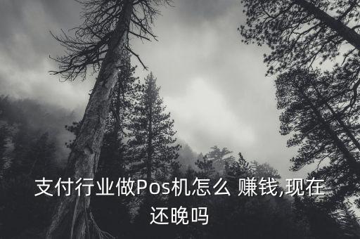 支付行業(yè)做Pos機(jī)怎么 賺錢,現(xiàn)在還晚嗎