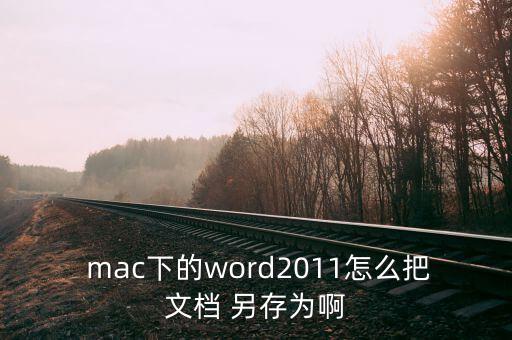 mac上的表格怎么另存為,蘋(píng)果電腦可復(fù)制工作表如下