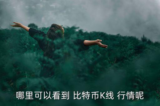 哪里可以看到 比特幣K線(xiàn) 行情呢