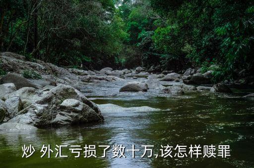 炒 外匯虧損了數(shù)十萬,該怎樣贖罪