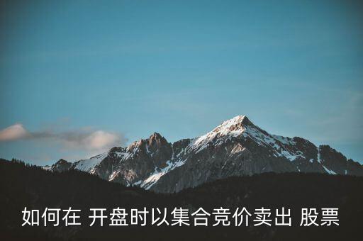 如何在 開(kāi)盤(pán)時(shí)以集合競(jìng)價(jià)賣(mài)出 股票