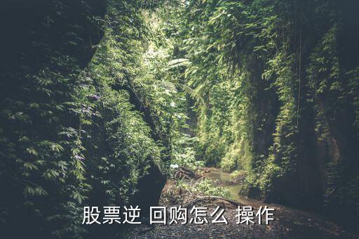 股票逆 回購(gòu)怎么 操作