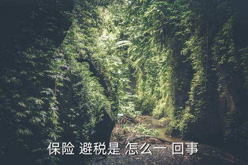 保險(xiǎn) 避稅是 怎么一 回事