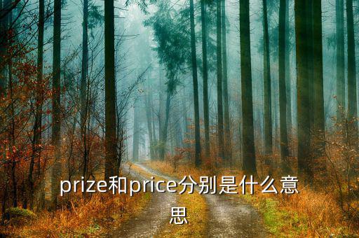 prize和price分別是什么意思