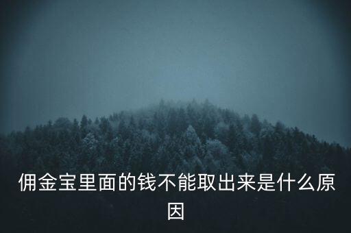  傭金寶里面的錢不能取出來(lái)是什么原因