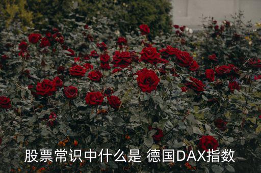 德國股市怎么樣,德國dax指數(shù)是德國重要股票指數(shù)