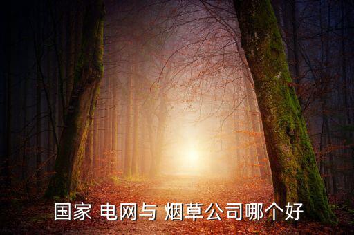  國(guó)家 電網(wǎng)與 煙草公司哪個(gè)好