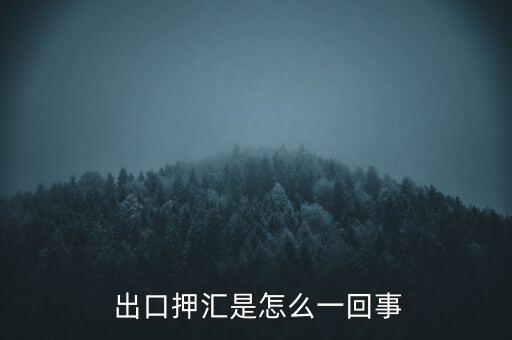 出口時(shí)代網(wǎng)怎么樣,出口票據(jù)議付需要注意什么?